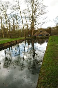 Reflection of bare trees in lake