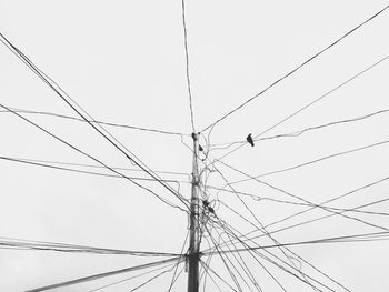 Low angle view of birds perching on electricity pylon against sky