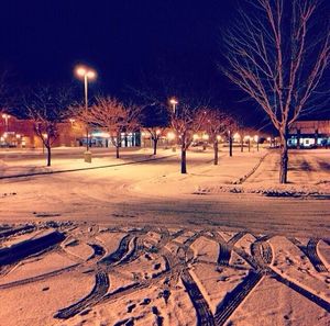 View of illuminated trees at night