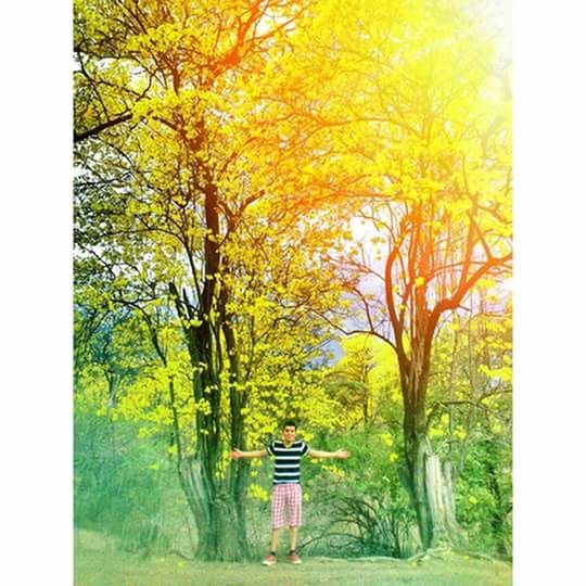 transfer print, tree, auto post production filter, rear view, lifestyles, growth, full length, nature, leisure activity, green color, men, branch, beauty in nature, field, tranquility, walking, day, grass