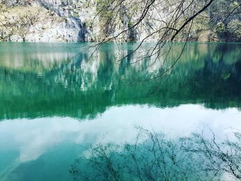 Scenic view of lake in forest