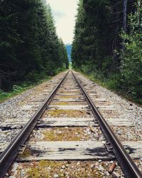 Railroad track