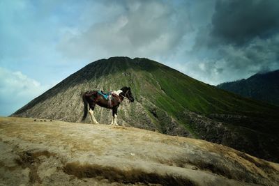 Man riding horse on mountain against sky