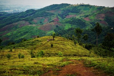 Scenic view of trees and mountains amidst the laying of the rain clouds