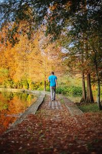 Rear view of people walking in forest