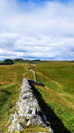 View of horse on field against sky