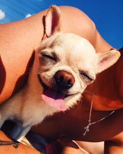 Close-up of shirtless man with dog on sunny day