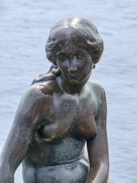 Close-up of statue against lake