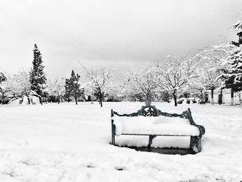 Snow covered trees on field