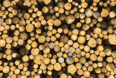 Full frame shot of logs