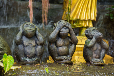 Wooden statue of monkey in garden