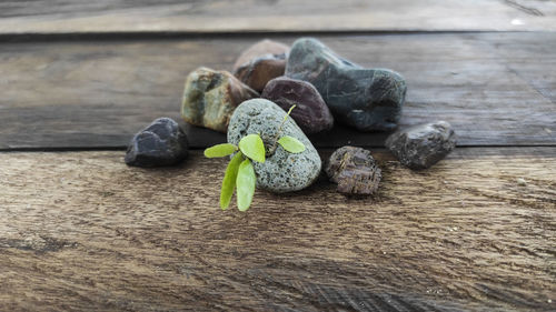 Close-up of pebbles on table