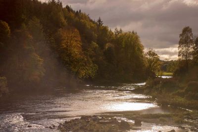 Scenic view of river amidst trees against sky