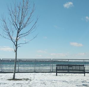 Winter scene, bare tree and bench at river