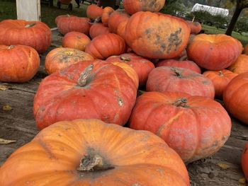 High angle view of pumpkins in market