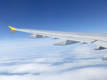 Bird flying over blue sky