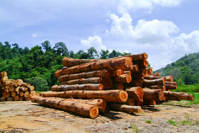 Stack of logs in forest against sky