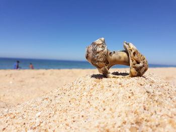 Surface level of sand on beach against clear sky