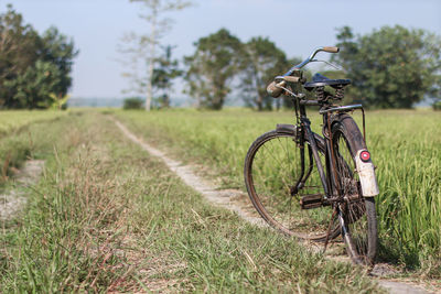 Bicycle on field
