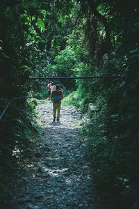 forest