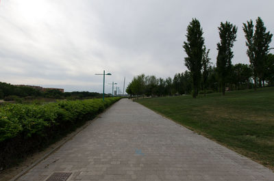 Footpath amidst trees against sky