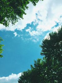 Low angle view of trees against cloudy sky