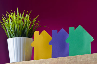 Green plant in white pot with colorful house cardboard