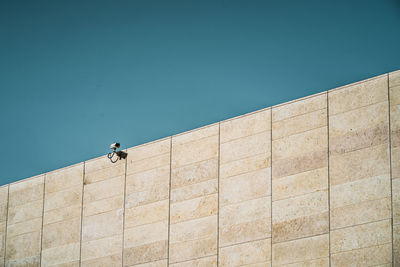 Low angle view of man against building wall