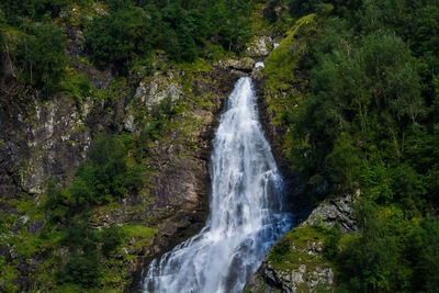 View of waterfall in forest