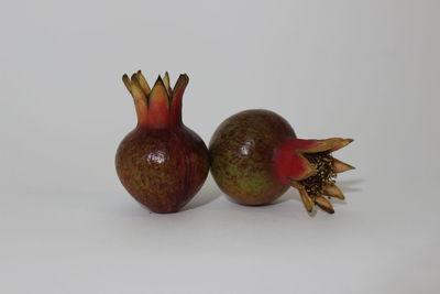 Close-up of fruits against white background