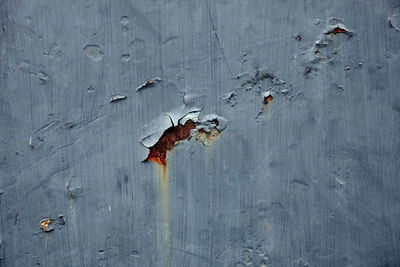 Close-up of rusty metal on wood against wall
