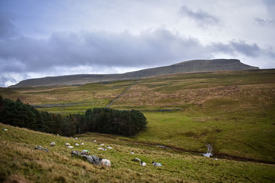 Scenic view of landscape against sky