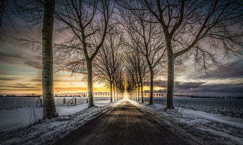 Road amidst bare trees against sky during winter