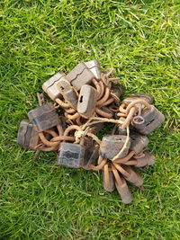 High angle view of grass on field