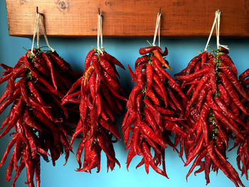 Close-up of red leaves hanging on clothesline