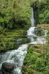Scenic view of waterfall in forest