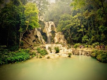 Scenic view of waterfall in forest