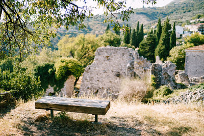 Bench in park