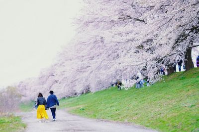 Rear view of people walking on road