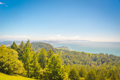 Scenic view of green landscape and sea against sky