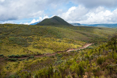 A hiking trail against the background of mugi hill in chogoria route, mount kenya, kenya