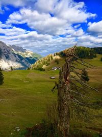 Scenic view of landscape against sky