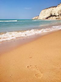 Scenic view of shore at beach