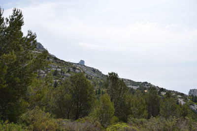 Scenic view of trees and mountains against sky