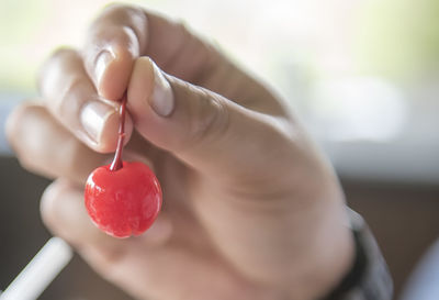 Cropped hand of person holding fresh red cherry
