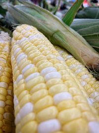 Close-up of corn for sale at market stall