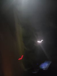 Low angle view of illuminated moon in sky at night