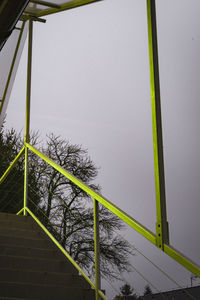 Low angle view of tree against sky