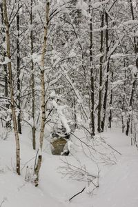 Bare trees on snow covered landscape