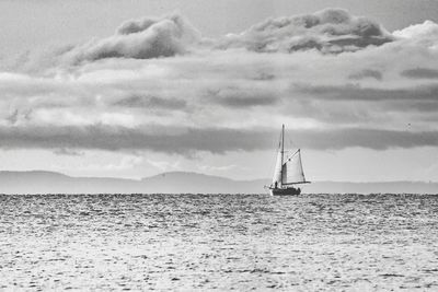 Sailboat sailing in sea
